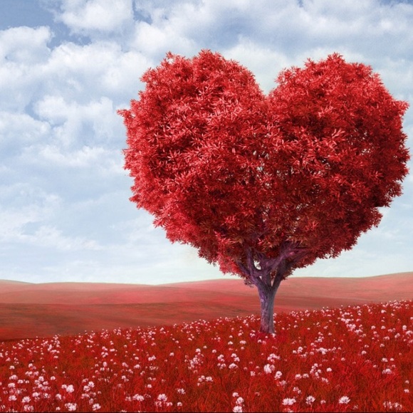 ❤️Happy Valentine's Day ❤️My Pashonista💃🏼Friends - Picture 8 of 8